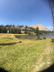 2015-08-22 12.18.22-1