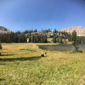 2015-08-22 12.18.27