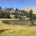 2015-08-22 12.18.32