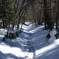 2016-04-01 11.06.28