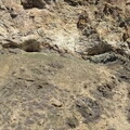 2016-04-01 12.17.54