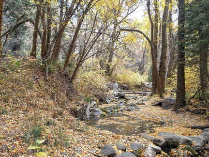 14711639 136899263441294 3074912759379397995 o