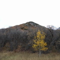 IMG 20161015 093027