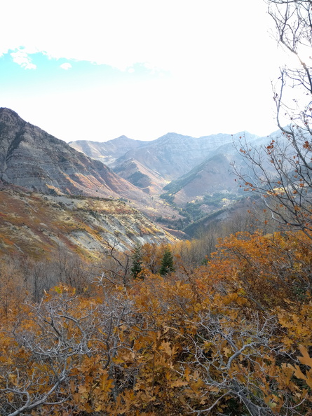 IMG_20161015_095600.jpg