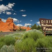 2016.05.20 - Dixie National gone wrong